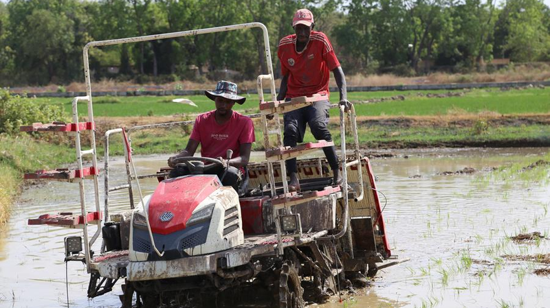 Wang Yi appelle à de nouvelles histoires de succès sino-africains