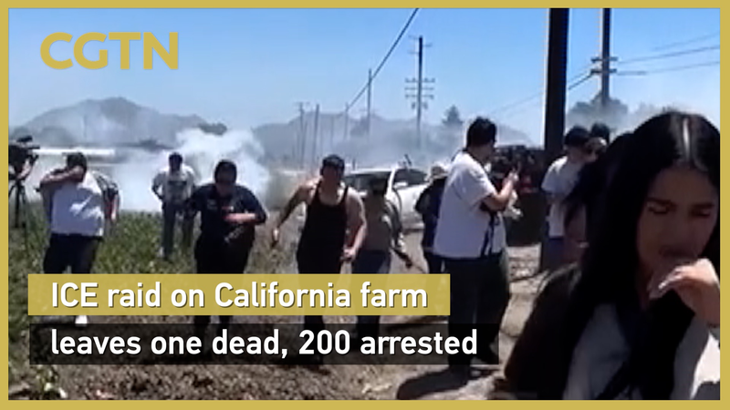 Une descente de l’ICE secoue une ferme de cannabis en Californie : un mort, 200 arrêtés Une descente de l'ICE secoue une ferme de cannabis en Californie : un mort, 200 arrêtés video poster