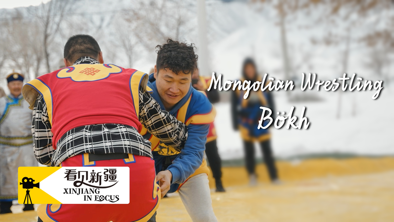 Lutte Bökh : L’héritage indestructible de la Mongolie Lutte Bökh : L'héritage indestructible de la Mongolie video poster