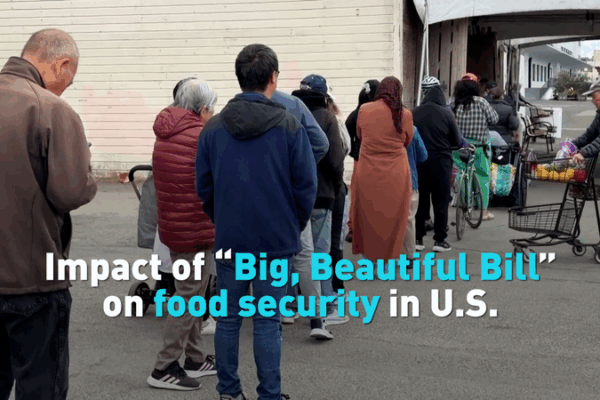 Le ‘Grand et Beau Projet de Loi’ pourrait-il aggraver l’insécurité alimentaire aux États-Unis ? Le 'Grand et Beau Projet de Loi' pourrait-il aggraver l'insécurité alimentaire aux États-Unis ? video poster