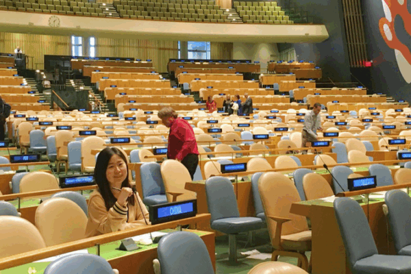 Revivre mon stage à l’ONU en 2015 et le revolver noué Revivre mon stage à l'ONU en 2015 et le revolver noué