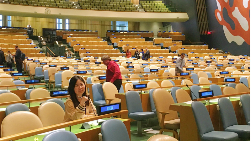 Revivre mon stage à l'ONU en 2015 et le revolver noué