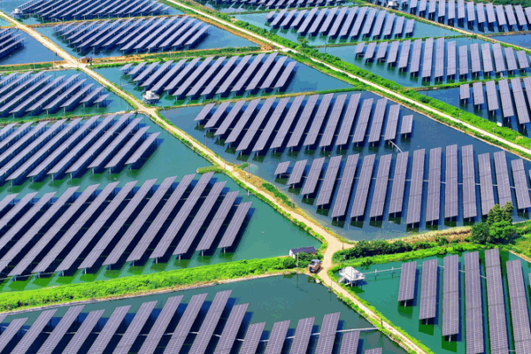 La Chine et l’UE lancent une nouvelle ère de protection écologique La Chine et l'UE lancent une nouvelle ère de protection écologique