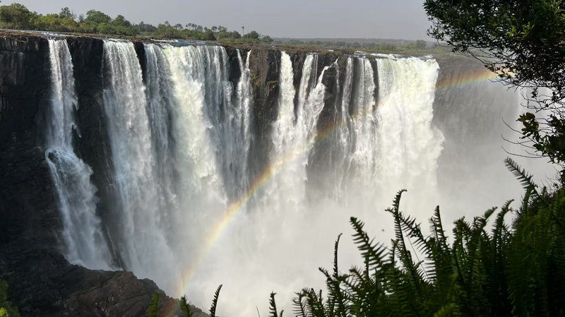 La Chine et l'Afrique s'unissent pour protéger les zones humides en voie de disparition
