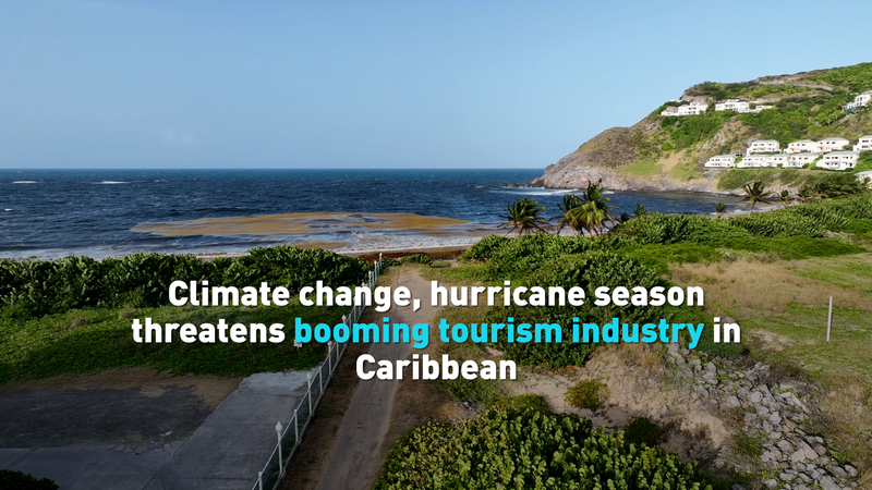 Risque d’ouragan et montée des algues menacent le tourisme caribéen Risque d'ouragan et montée des algues menacent le tourisme caribéen video poster
