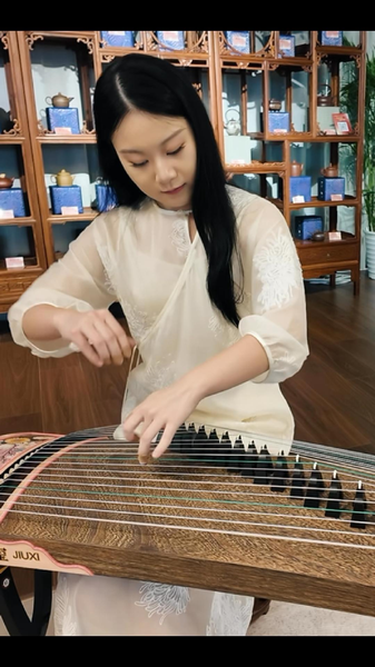 La magie du Guzheng au Nid d’Oiseau : Un voyage à travers le son et les histoires La magie du Guzheng au Nid d'Oiseau : Un voyage à travers le son et les histoires video poster