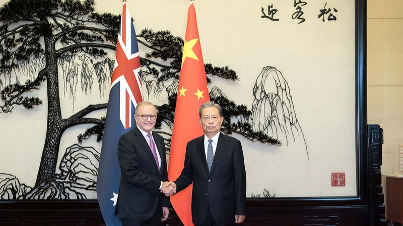 Zhao Leji et le Premier ministre Albanese élaborent un nouveau plan pour les relations Chine-Australie Zhao Leji et le Premier ministre Albanese élaborent un nouveau plan pour les relations Chine-Australie