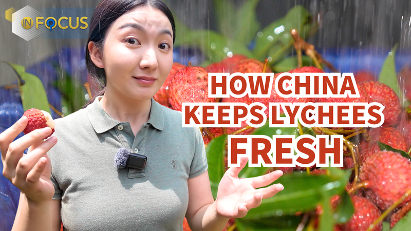 De Guangdong à votre table : comment la chaîne du froid de la Chine continentale garde les litchis frais video poster