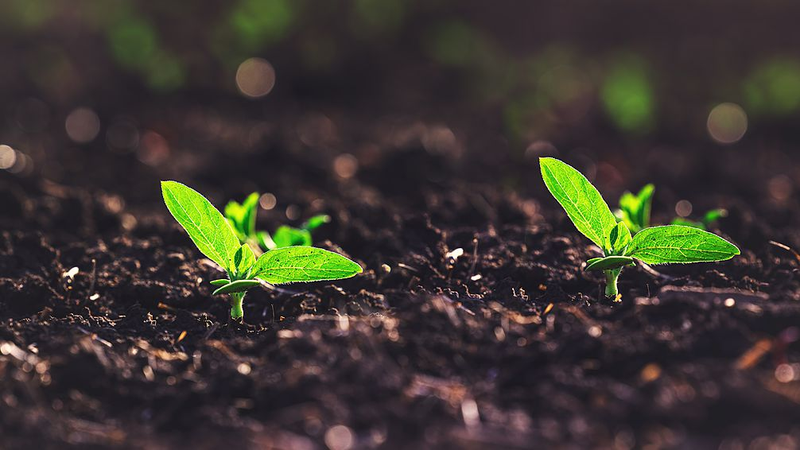 Humidité du sol de précision avec séparation aveugle des sources Humidité du sol de précision avec séparation aveugle des sources