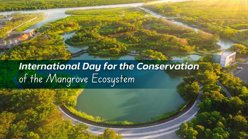 Protéger les mangroves : construire un bouclier de carbone bleu