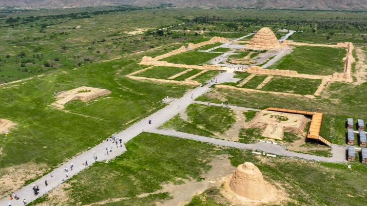 L’UNESCO Honore les Tombes Impériales Xixia comme Un Phare de Fusion Culturelle L'UNESCO Honore les Tombes Impériales Xixia comme Un Phare de Fusion Culturelle