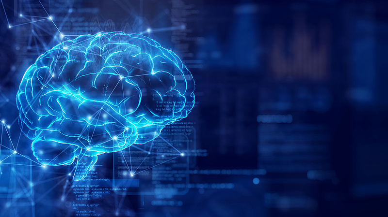 Avancée dans la cartographie mésoscopique du cerveau par une équipe du continent chinois Avancée dans la cartographie mésoscopique du cerveau par une équipe du continent chinois