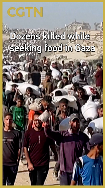 Des dizaines tués à Gaza en attendant une aide alimentaire Des dizaines tués à Gaza en attendant une aide alimentaire video poster