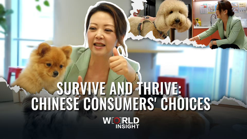 Survivre et prospérer : Les meilleurs choix des consommateurs chinois Survivre et prospérer : Les meilleurs choix des consommateurs chinois video poster