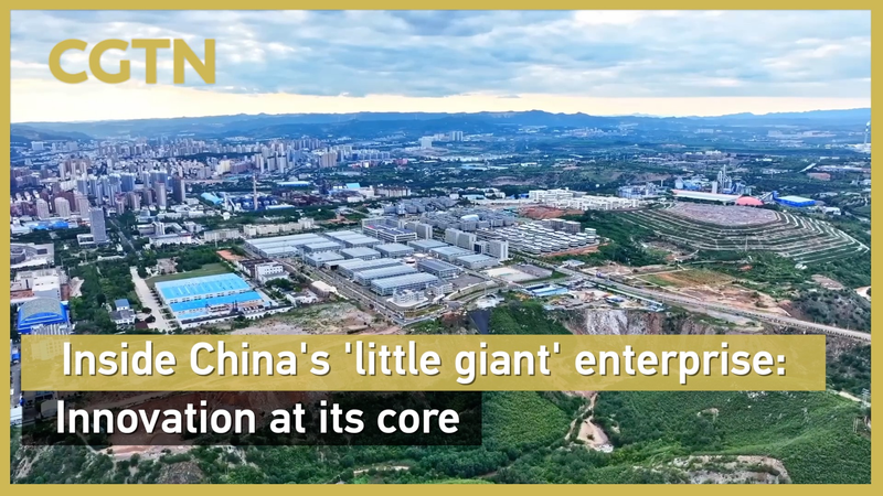 À l’intérieur du ‘petit géant’ chinois : une entreprise centenaire alimentée par l’innovation À l'intérieur du 'petit géant' chinois : une entreprise centenaire alimentée par l'innovation video poster