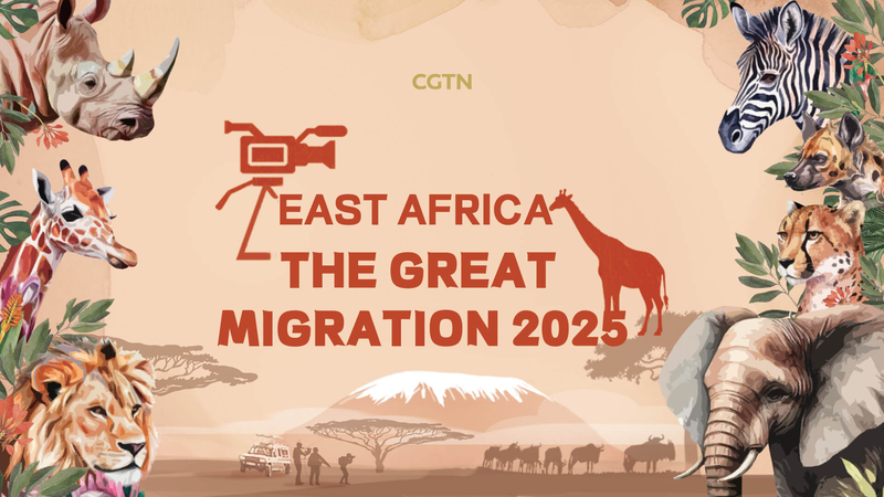 La Grande Migration : La faune du Kenya au-delà des Cinq Grands La Grande Migration : La faune du Kenya au-delà des Cinq Grands video poster