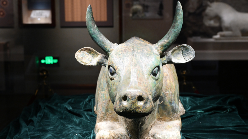 Le musée de Ningxia accueille des foules records après l’honneur de l’UNESCO Le musée de Ningxia accueille des foules records après l'honneur de l'UNESCO