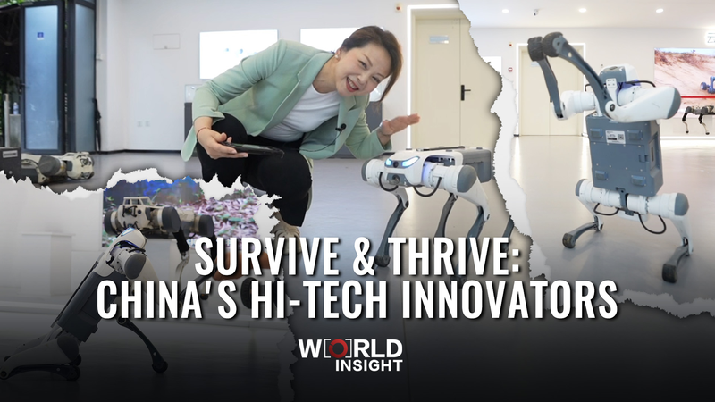 Survivre & Prospérer : Les Innovateurs High-Tech du Continent Chinois Survivre & Prospérer : Les Innovateurs High-Tech du Continent Chinois video poster