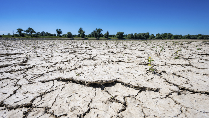 Une nouvelle ère de sécheresse signale un risque mondial pour l’eau Une nouvelle ère de sécheresse signale un risque mondial pour l'eau