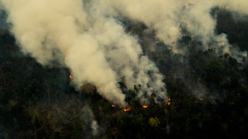 Une nouvelle loi au Brésil pourrait accélérer la déforestation en Amazonie Une nouvelle loi au Brésil pourrait accélérer la déforestation en Amazonie video poster
