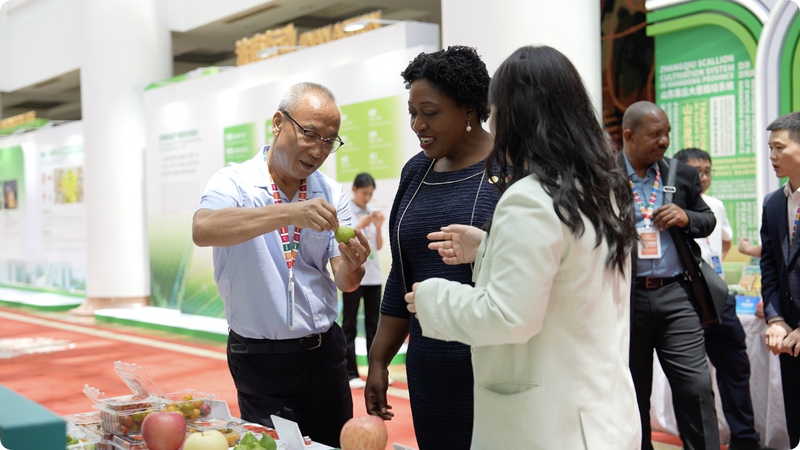 La ville printanière de Jinan cultive une agriculture intelligente pour zéro faim La ville printanière de Jinan cultive une agriculture intelligente pour zéro faim