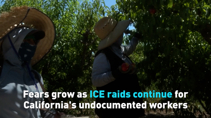 Les travailleurs sans-papiers en Californie inquiets alors que les raids de l’ICE s’intensifient Les_travailleurs_sans_papiers_en_Californie_inquiets_alors_que_les_raids_de_l_ICE_s_intensifient video poster