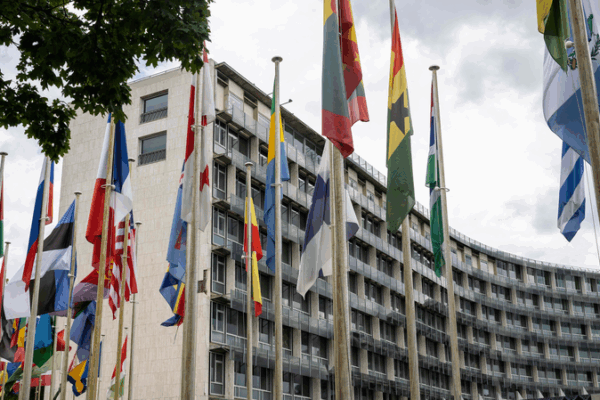 Sondage CGTN : Le monde reste indifférent au nouveau retrait des États-Unis de l’UNESCO Sondage CGTN : Le monde reste indifférent au nouveau retrait des États-Unis de l'UNESCO