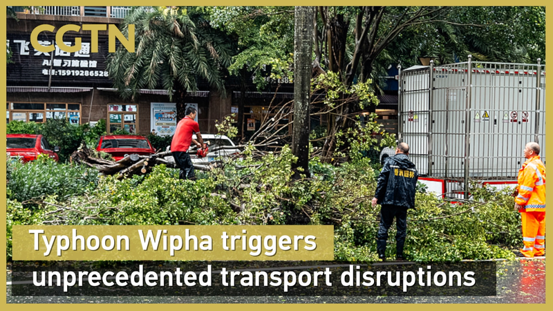 Le typhon Wipha perturbe les transports sur la côte sud du continent chinois Le typhon Wipha perturbe les transports sur la côte sud du continent chinois video poster