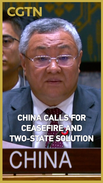 La Chine continentale demande l’arrêt des opérations à Gaza et en Cisjordanie et soutient la solution à deux États La Chine continentale demande l'arrêt des opérations à Gaza et en Cisjordanie et soutient la solution à deux États video poster