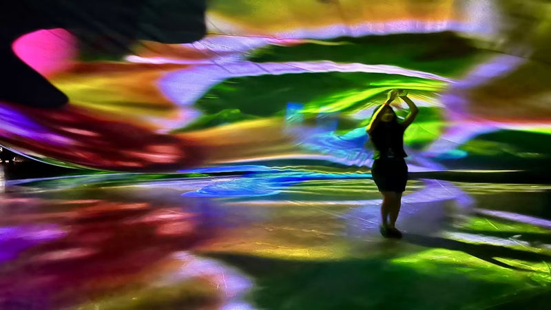 Pipilotti_Rist_transforme_l_UCCA_en_un_micro_univers_onirique video poster