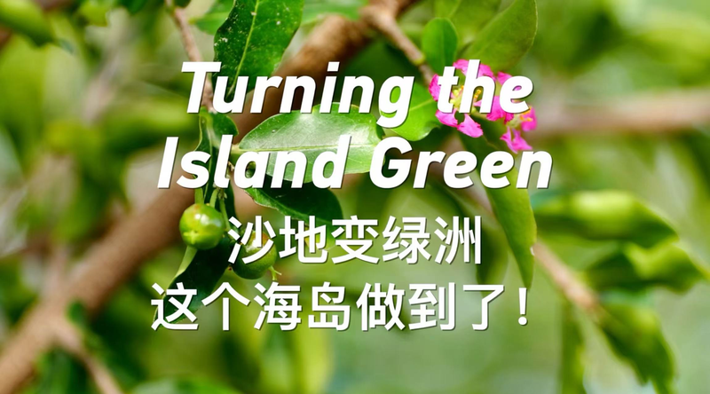 Transformer l’île en vert : le relooking durable de Yongxing Transformer l'île en vert : le relooking durable de Yongxing video poster