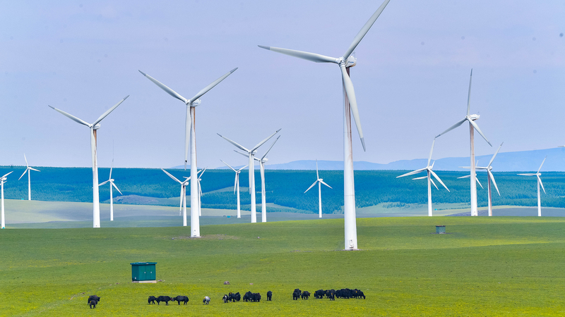 75 ans de collaboration énergétique verte sino-danoise 75 ans de collaboration énergétique verte sino-danoise