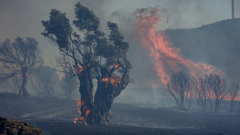L’Europe du Sud fait face à de violents incendies de forêt au milieu d’une canicule accablante L'Europe du Sud fait face à de violents incendies de forêt au milieu d'une canicule accablante