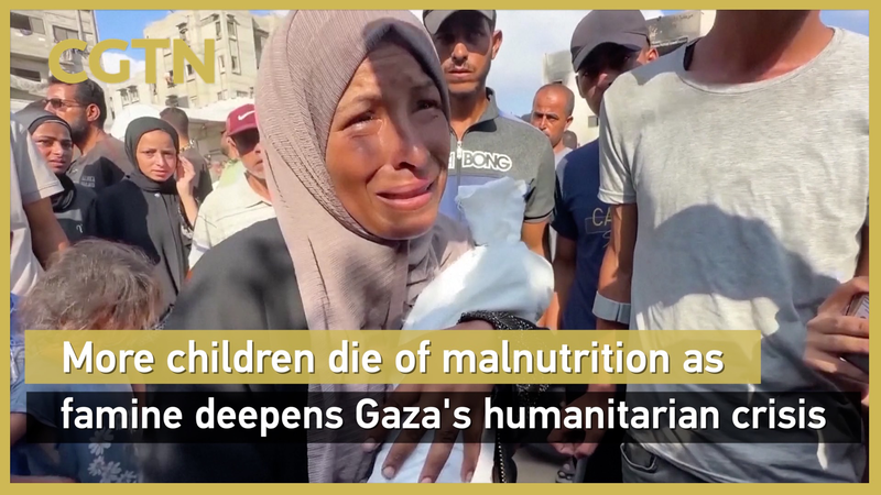 Gaza confrontée à une famine massive causée par l’homme alors que les décès dus à la faim explosent Gaza confrontée à une famine massive causée par l'homme alors que les décès dus à la faim explosent video poster