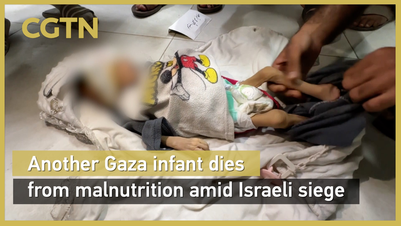 Le siège de Gaza: La malnutrition fait une autre victime parmi les nourrissons Le siège de Gaza: La malnutrition fait une autre victime parmi les nourrissons video poster