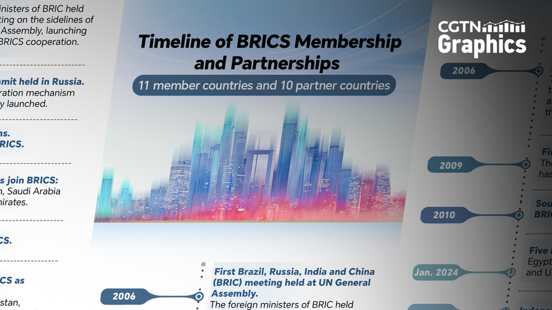 Sommet des BRICS Rio 2025 : De BRIC à un bloc de 11 membres Sommet des BRICS Rio 2025 : De BRIC à un bloc de 11 membres