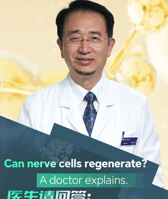 Les cellules nerveuses peuvent-elles se régénérer ? L’expert explique Les cellules nerveuses peuvent-elles se régénérer ? L'expert explique video poster