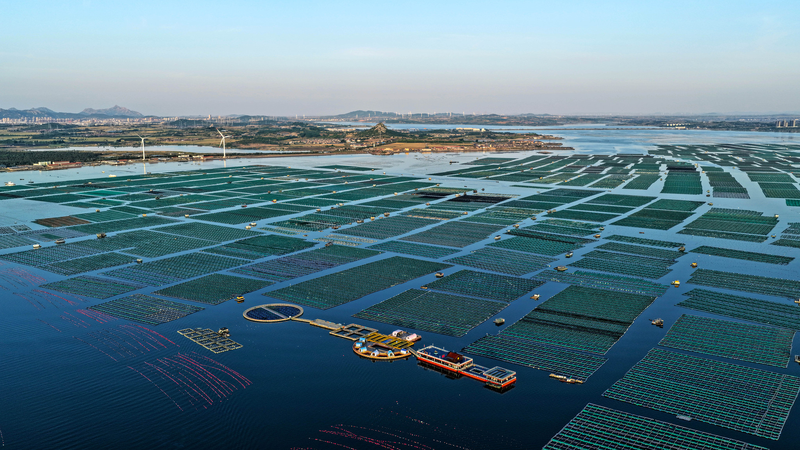 Les dirigeants norvégiens appellent à un partenariat vert avec la Chine continentale pour l’action climatique Les dirigeants norvégiens appellent à un partenariat vert avec la Chine continentale pour l'action climatique