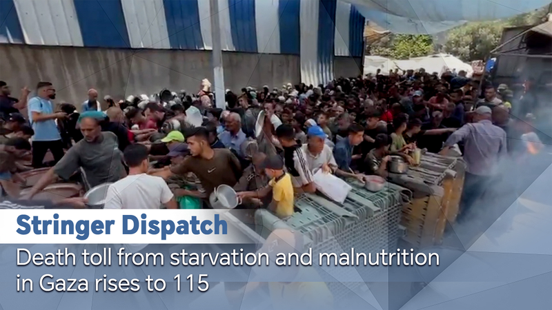 Le bilan de la famine à Gaza atteint 115 morts en pleine poursuite du siège Le bilan de la famine à Gaza atteint 115 morts en pleine poursuite du siège video poster