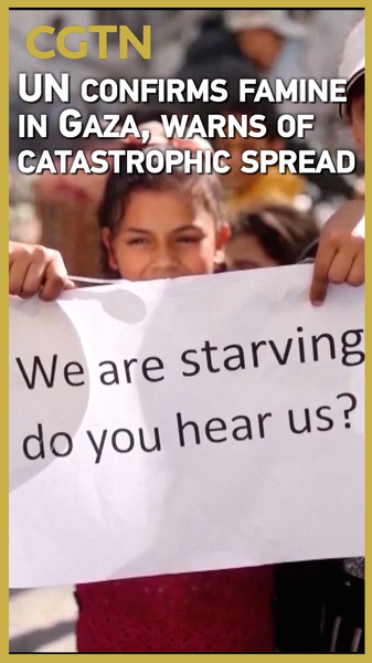 L’ONU déclare une famine à Gaza : Plus de 500 000 en danger L'ONU déclare une famine à Gaza : Plus de 500 000 en danger video poster