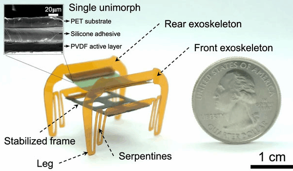Rencontrez le Cafard Électronique : Un Microbot de 2 cm avec une Super Force Rencontrez le Cafard Électronique : Un Microbot de 2 cm avec une Super Force