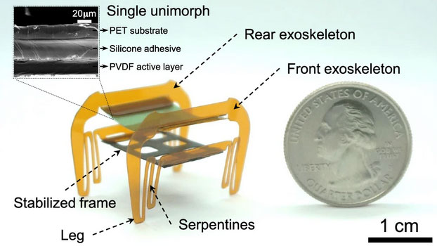 Rencontrez le Cafard Électronique : Un Microbot de 2 cm avec une Super Force