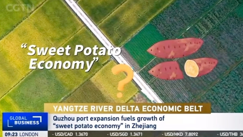 L’économie de la patate douce de Quzhou : Alimenter la croissance au Zhejiang L'économie de la patate douce de Quzhou : Alimenter la croissance au Zhejiang video poster