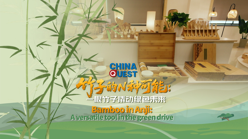 Le Boom du Bambou d’Anji : Une Révolution Verte en 60 Jours Le Boom du Bambou d’Anji : Une Révolution Verte en 60 Jours video poster