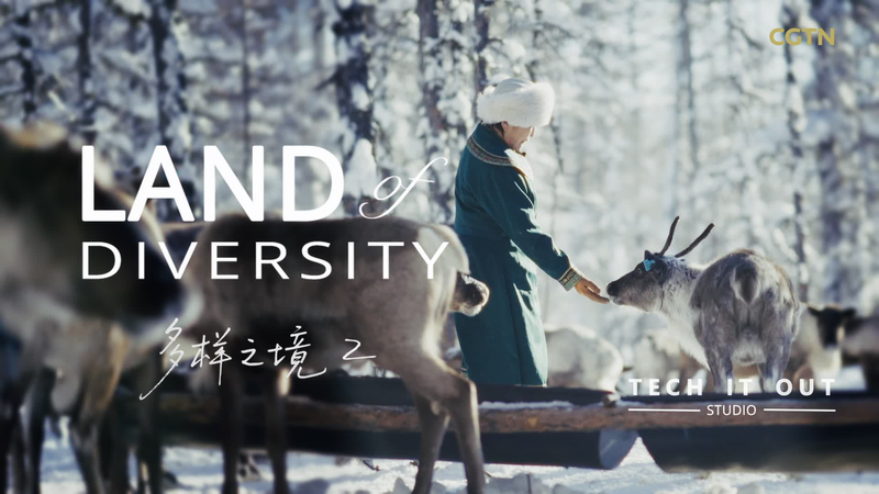 Un Cadeau Enneigé : Les Renne Ewenki Libérés dans le Grand Hinggan Un Cadeau Enneigé : Les Renne Ewenki Libérés dans le Grand Hinggan video poster