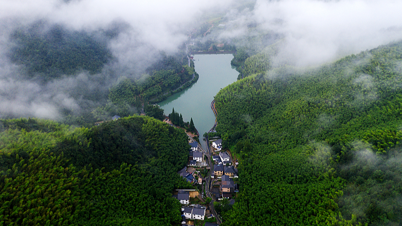Luhuadang : Sanctuaire d'été à Mogan Mountain video poster
