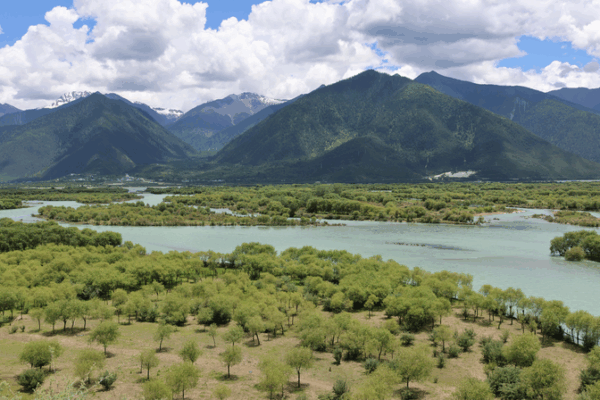 Yani Wetland : Oasis où les rivières convergent sur le Toit du Monde Yani Wetland : Oasis où les rivières convergent sur le Toit du Monde