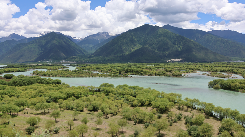 Yani Wetland : Oasis où les rivières convergent sur le Toit du Monde