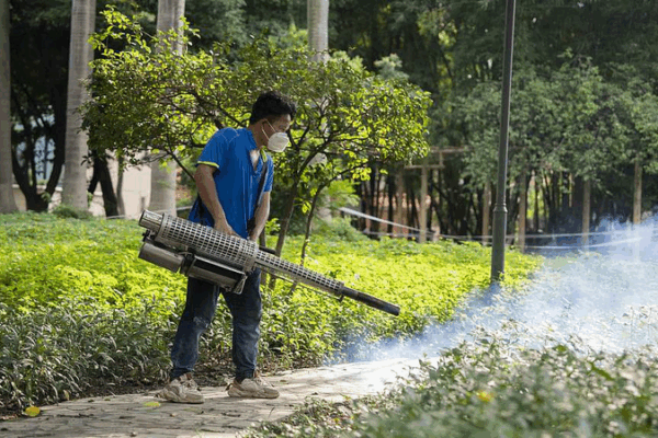 Les cas de chikungunya diminuent dans le Guangdong : Foshan obtient un succès précoce Les cas de chikungunya diminuent dans le Guangdong : Foshan obtient un succès précoce