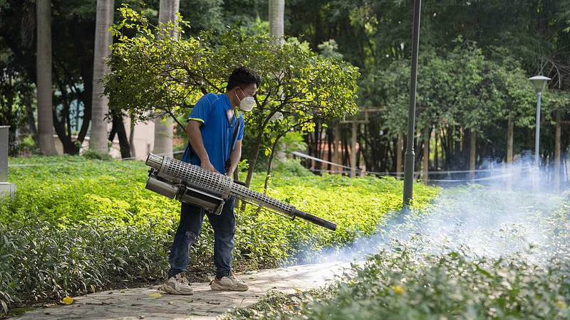 Les cas de chikungunya diminuent dans le Guangdong : Foshan obtient un succès précoce